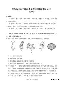 2026届高三下学期云南三校高考备考实用性联考卷（六）生物试卷（含答案）