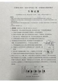 山西省吕梁市2024-2025学年高三上学期期末调研测试生物试题（含答案）