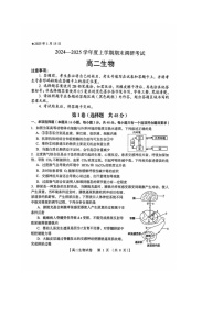 河南省三门峡市2024-2025学年高二上学期1月期末考试  生物试卷（含答案）
