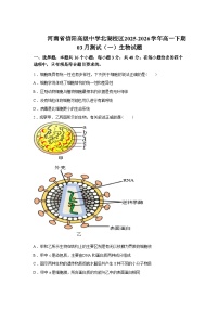 河南信阳高级中学北湖校区2025-2026学年高一下学期03月测试(一)生物试题含答案