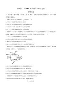 2025-2026学年湖南省株洲市天元区株洲市第二中学高一下学期自测生物试题（含答案）