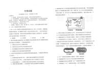2026届陕西商洛市镇安县陕西省镇安中学高三下学期二模生物(扫描版,含解析)试题