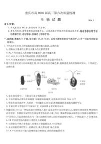 重庆市南开中学高2026届高三下学期3月第六次质量检测 生物试卷及答案