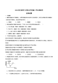 天津市八所重点学校2026届高三上学期期末联考生物试卷（Word版附答案）