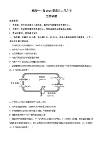 重庆市第一中学2026届高三下学期3月月考生物试题（Word版附解析）