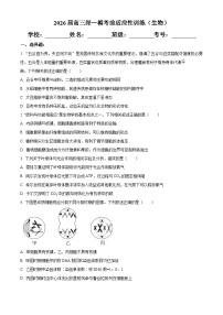 广东省深圳市2026届高三下学期一模考前适应性训练生物试卷（Word版附解析）