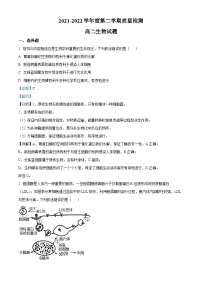 山东省济宁市2021-2022学年高二下学期期末生物试题 附解析