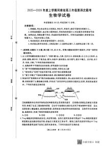 河南省金太阳2025-2026学年高三上学期第四次联考生物试卷（含答案）