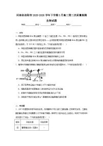 2025-2026学年河南省洛阳市下学期3月高三第三次质量检测生物试题（无答案）