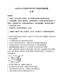 山东省师范大学附属中学2025_2026学年高二上学期期中生物试题（扫描版，含答案）