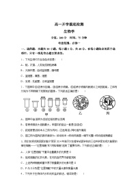 湖南衡阳县第二中学2025--2026学年高一下学期开学考试生物试题含答案