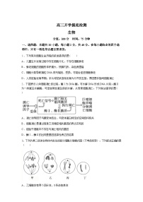 湖南衡阳县第二中学2025--2026学年高三下学期生物开学考试试题含答案