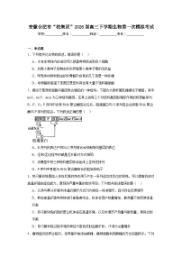 2026年安徽合肥市“校集团”高三下学期生物第一次模拟考试试卷（附答案解析）