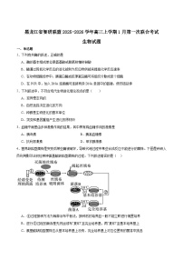 黑龙江省智研联盟2026届高三上学期1月第一次联合考试 生物 Word版含答案