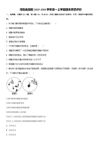 2025-2026学年河南省南阳高一上学期期末素质评价生物试卷（学生版）
