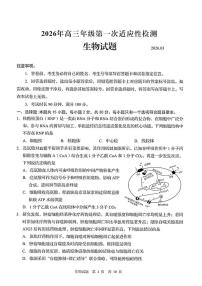 2026届山东青岛市下学期高三一模适应性检测 生物试题及答案