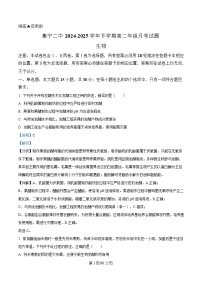 内蒙古自治区乌兰察布市集宁区第二中学2024-2025学年高二下学期4月月考试题  生物试卷(含答案)