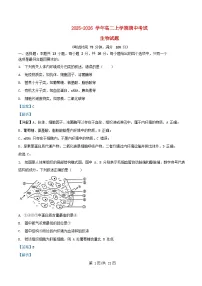 河北省沧州市四校联考2025_2026学年高二生物上学期11月期中试题含解析