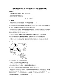 2026届甘肃省陇南市文县高三下3校联考模拟生物试卷（学生版）