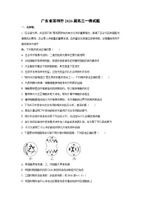 2026届广东省深圳市高三下一模生物试卷（学生版）