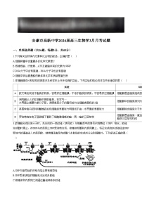 陕西省安康市高新中学2025_2026学年高三下学期3月月考生物试题（文字版，含答案）
