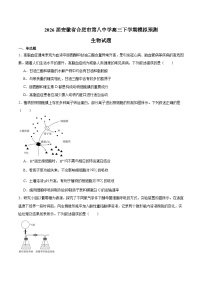 安徽省合肥市第八中学2026届高三下学期3月模拟预测（二）生物试卷（含解析）（含解析）