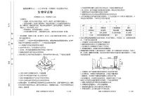 河北省承德市2024-2025学年高二上学期期末考试生物试卷（含答案）