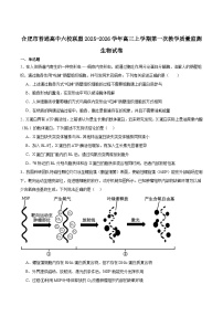 2026合肥普通高中六校联盟高三上学期第一次教学质量监测试题生物含答案