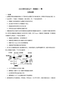 2026河北省五个一联盟高三上学期1月模拟考试生物含答案