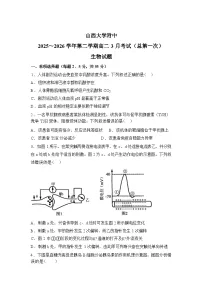 山西大学附属中学校2025-2026学年高二下学期3月阶段检测生物试题含答案