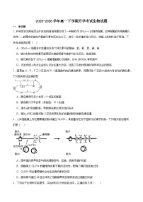 安徽省芜湖市重点高中2025-2026学年高一下学期3月开学质量检测 生物（含解析）
