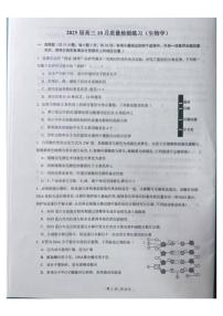 北京市中国人民大学附属中学2025届高三上学期10月月考生物试题（有解析）