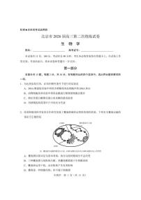 2026届北京市高三上第二次统练生物试卷（无答案）