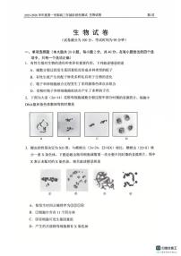北京市四中2025-2026学年高三上学期10月月考生物试题（含答案）
