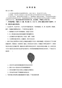 安徽省铜陵市2026届高三下学期3月一模生物试题（Word版附解析）