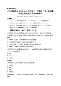 广东省惠东县2025-2026学年高三上学期8月第一次质量检测生物试题（含答案解析）