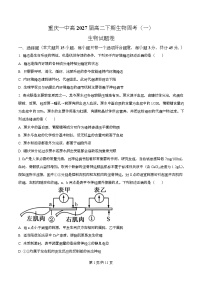 重庆市第一中学2025-2026学年高二下学期3月第一次周考生物试题（Word版附解析）