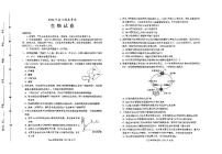 河北省保定市2024-2025学年高三上学期10月期中考试生物试卷（含答案）