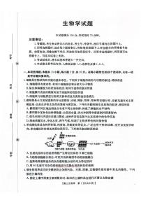2026年河北金太阳高三下学期3月生物试题及答案