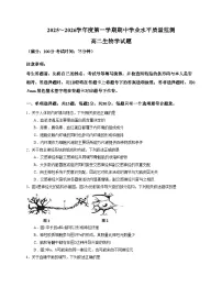 江苏省连云港市赣榆区2025_2026学年高二上学期11月期中生物试题（扫描版，含答案）