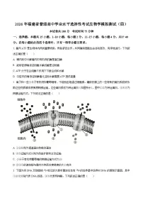 福建省普通高中2026届高三下学期学业水平选择性考试模拟测试（四）生物试卷（含答案）