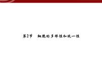 高中生物人教版 (2019)必修1《分子与细胞》第2节 细胞的多样性和统一性教案配套ppt课件