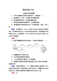 人教版 (新课标)必修1《分子与细胞》二 酶的特性精品课后作业题