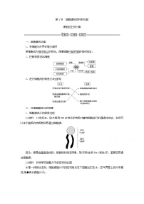 高中生物人教版 (新课标)必修1《分子与细胞》第1节 细胞膜──系统的边界优质导学案