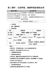 高中生物人教版 (2019)必修1《分子与细胞》第3章 细胞的基本结构第3节 细胞核的结构和功能第2课时学案设计