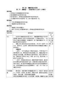 高中生物人教版 (新课标)必修1《分子与细胞》第2节 细胞器──系统内的分工合作教案