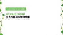 高中二 光合作用的原理和应用教学演示ppt课件