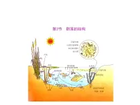 高中人教版 (新课标)第3节 群落的结构教课ppt课件