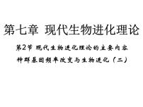 人教版 (新课标)必修2《遗传与进化》第七章 现代生物进化理论第2节 现代生物进化理论的主要内容本节综合背景图课件ppt