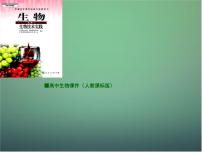 高中生物人教版 (新课标)选修1《生物技术实践》课题1 植物芳香油的提取教学演示课件ppt